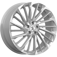 КР005 (20_Kodiaq)